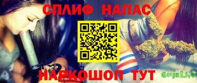 ECSTASY Заводоуковск