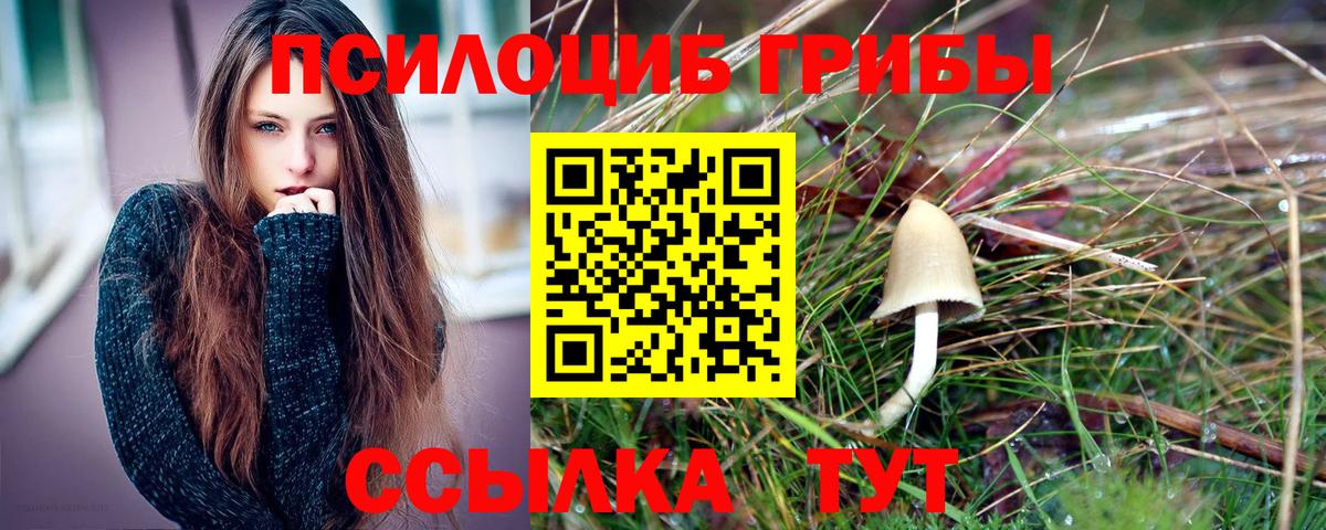 Галлюциногенные грибы Cubensis  Псилоцибиновые грибы мицелий  Вход с VPN  Муравленко 