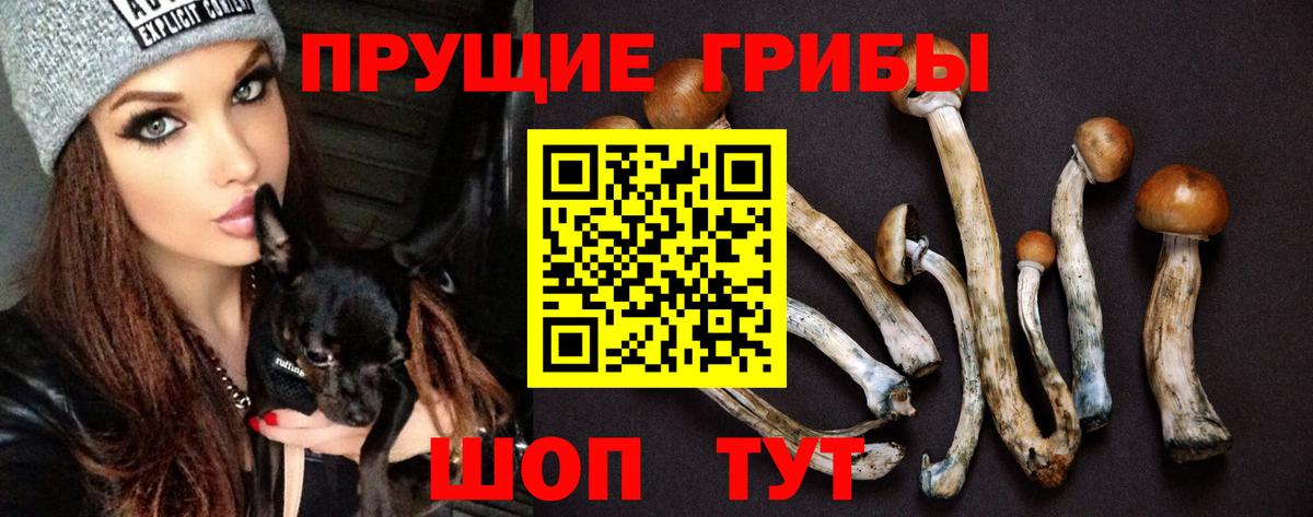 Бошки Шишки Муравленко
